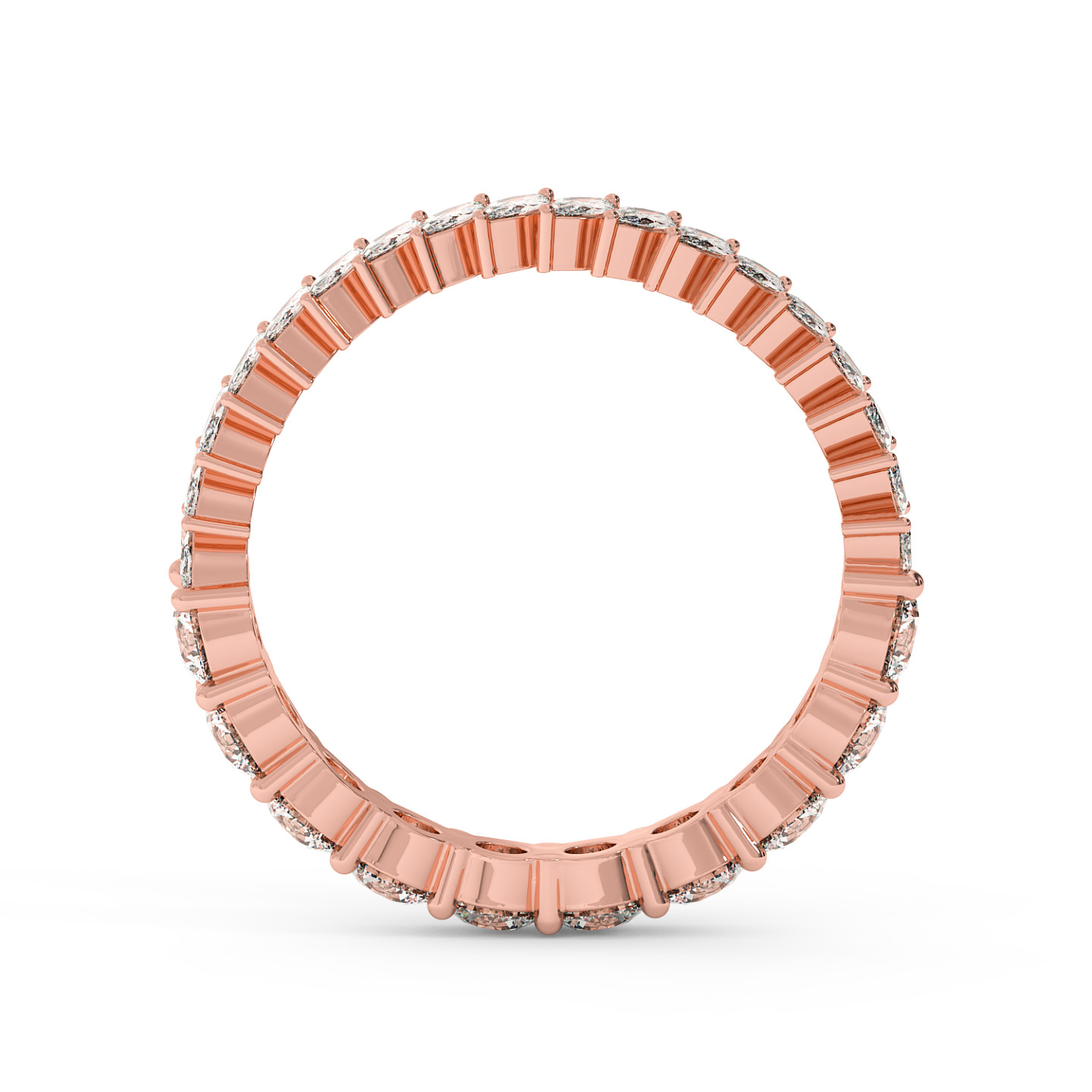 Alliance DUO Rondes & Marquises