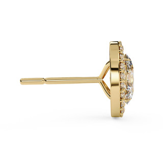 Puces d'oreilles halo libre