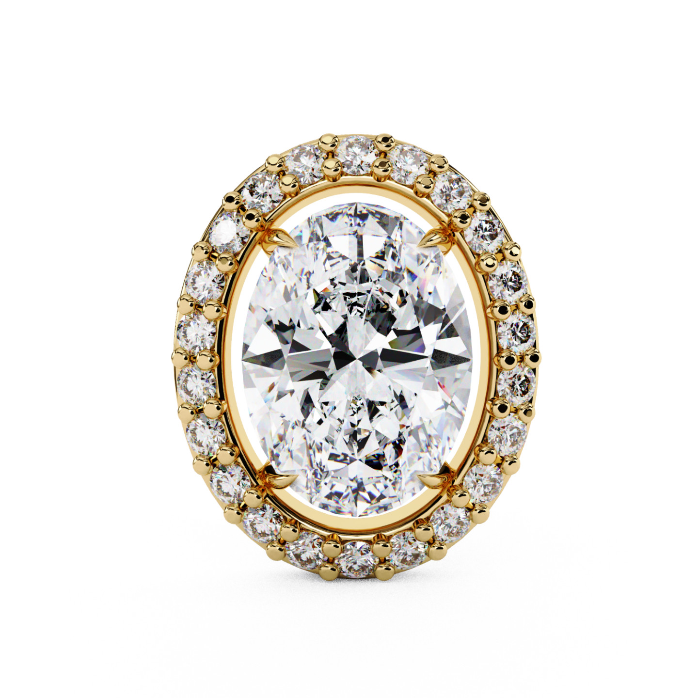 Puces d'oreilles halo libre