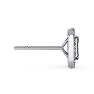 Puces d'oreilles halo libre