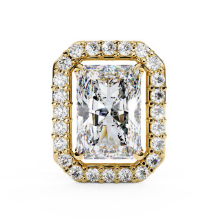 Puces d'oreilles halo libre