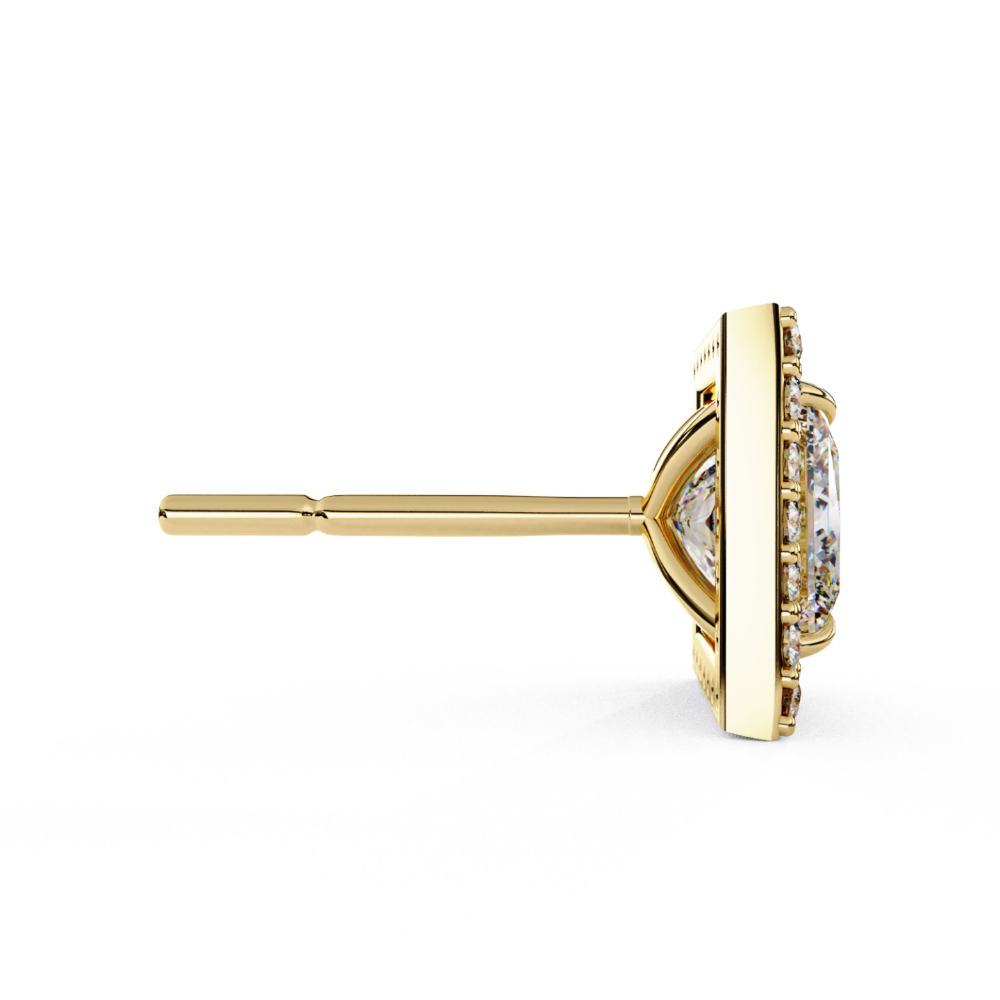 Puces d'oreilles halo libre