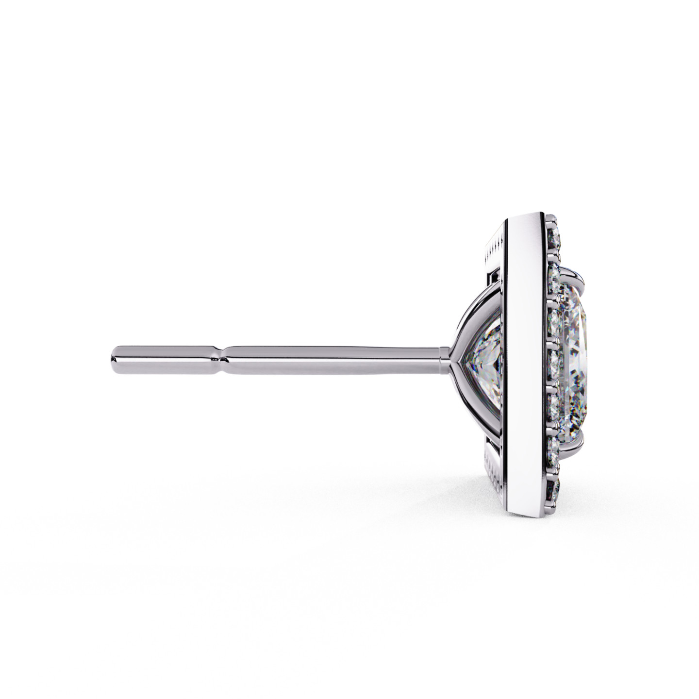 Puces d'oreilles halo libre